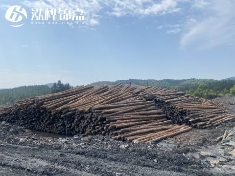 河道打樁為什么選擇松木樁來處理軟地基？-松木樁施工使用范圍