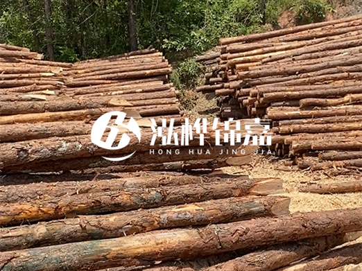 松木樁的運(yùn)輸費(fèi)用是否包含卸車費(fèi)？卸貨時(shí)需要注意哪些安全問(wèn)題？