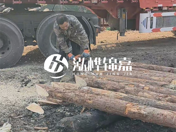 松木圓木價(jià)格大概多少一方-松木樁廠家按方可以賣嗎？